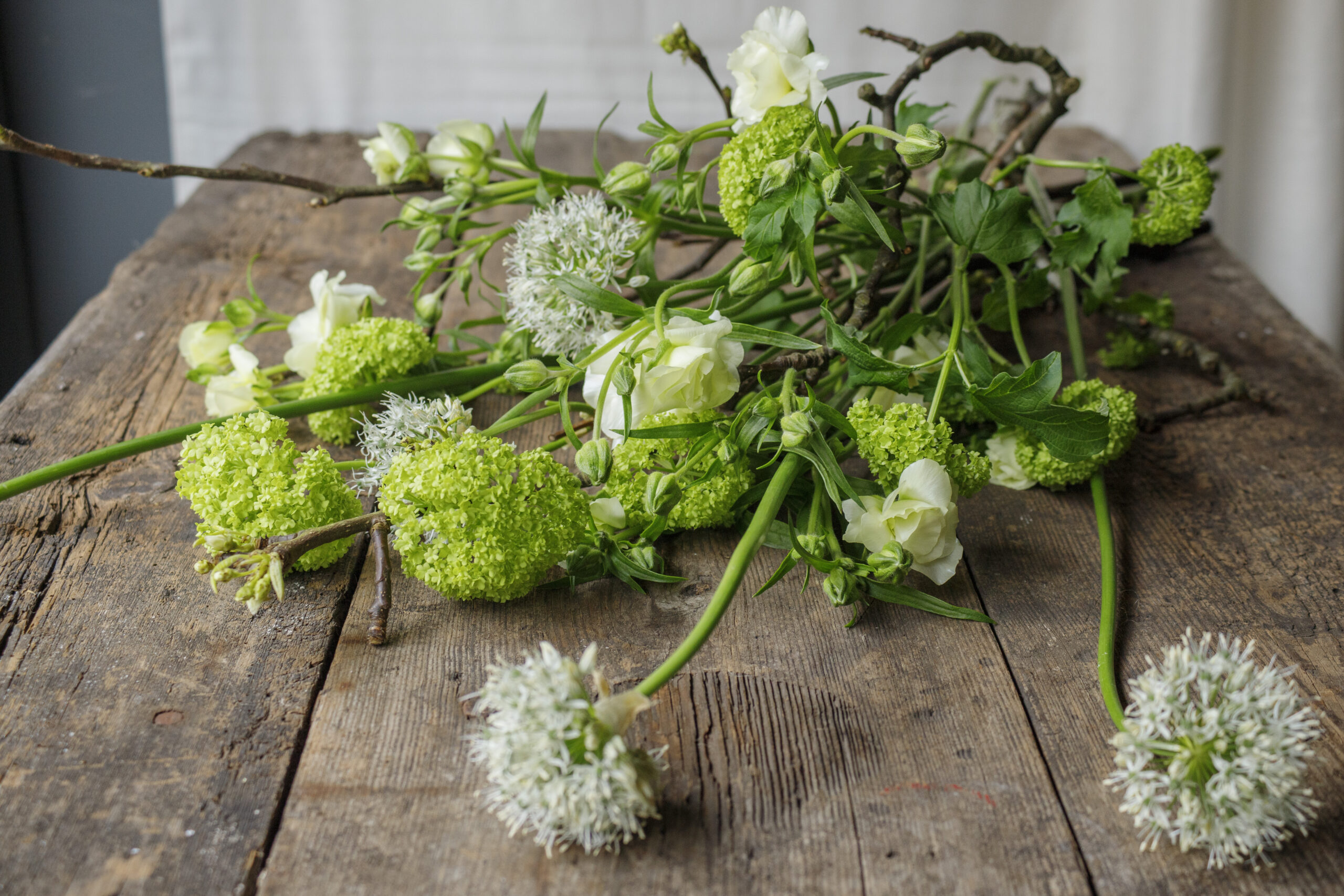 LZ_060423_Fleur_1731 © Lieke Zuiderwijk