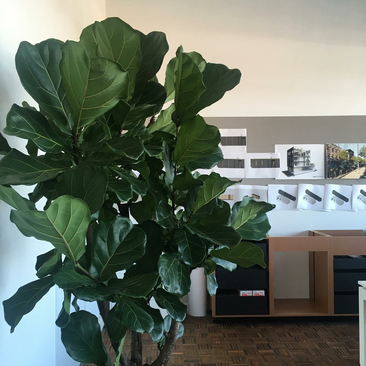 148734113_5377368638970139_7204149764821650167_n Jade Architecten Rotterdam