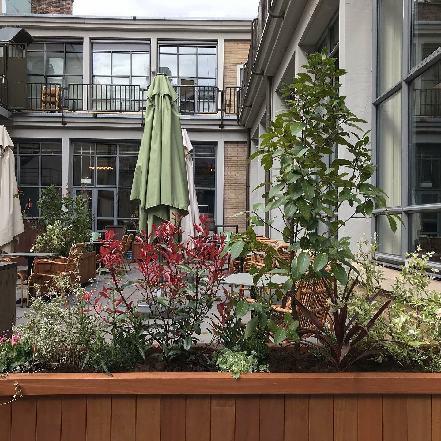 172176049_5689161657790834_9010923591195068541_n Terras Dudok Den Haag