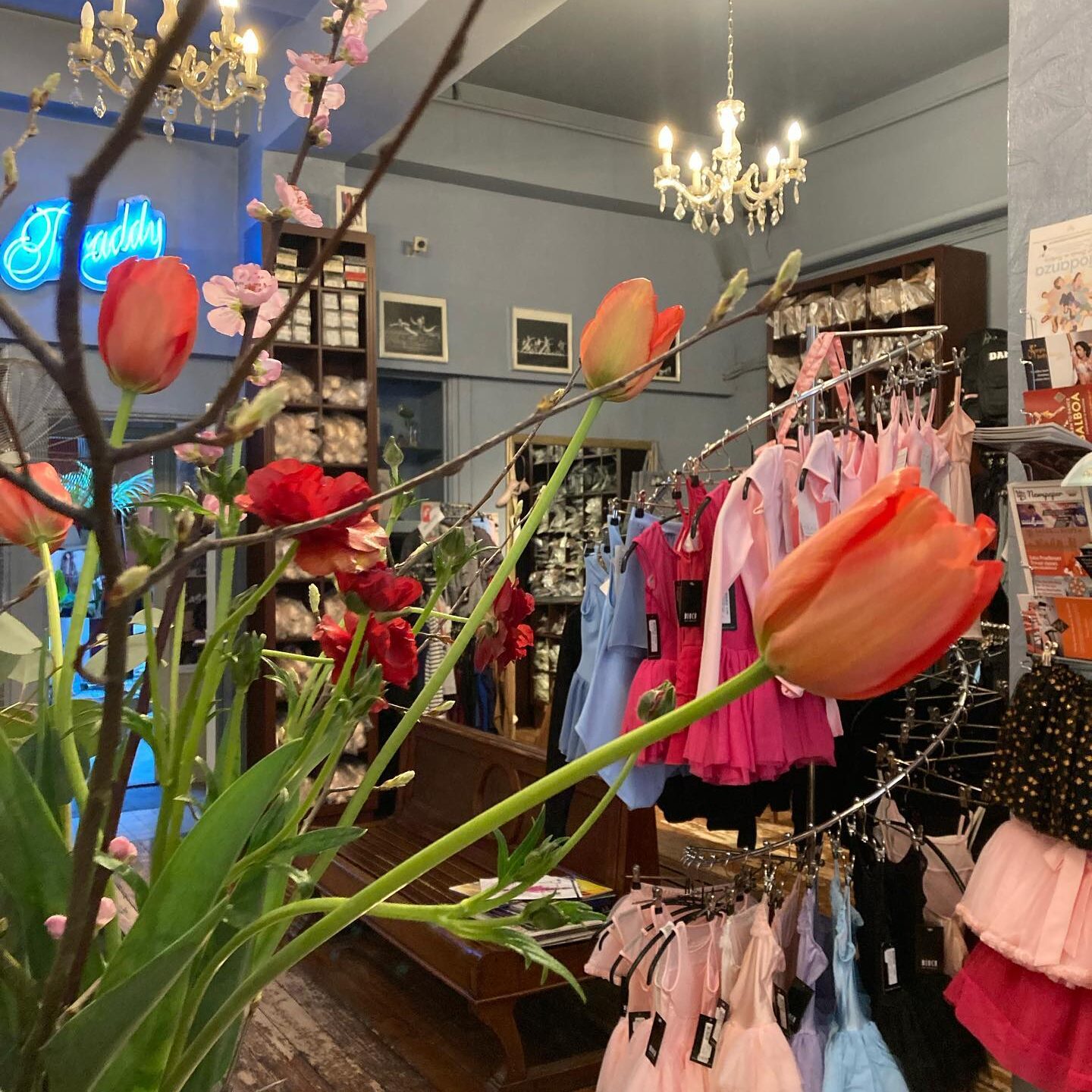 Studio Paraddy Rotterdam